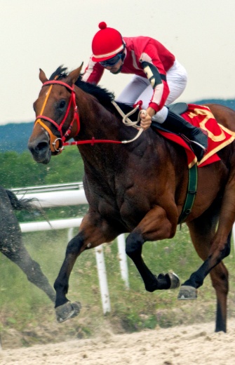 Daventry Appraisal Services